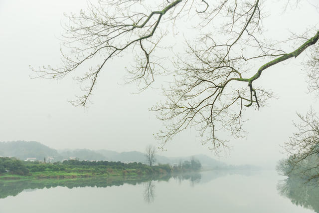 春天  浏阳河  雨季  油菜花  乡村  画