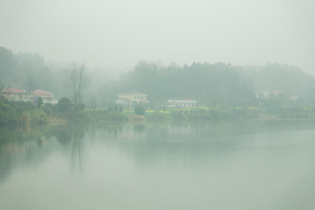 春天  浏阳河  雨季  油菜花  乡村  画