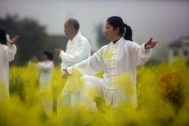 资兴*文旅*油菜花节