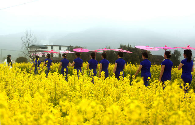 资兴*文旅*油菜花节
