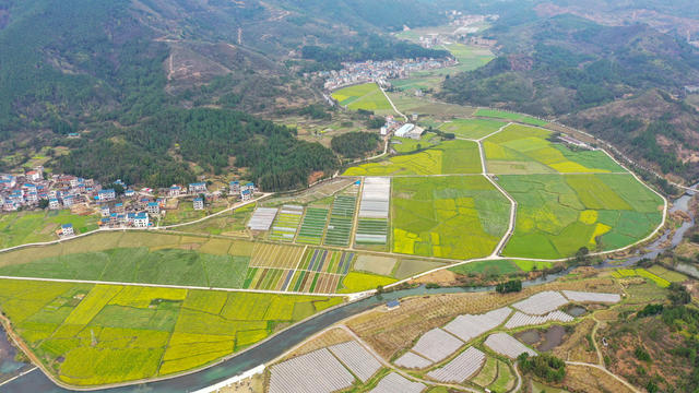 湖南 新田 菜地斑斓 织锦绣