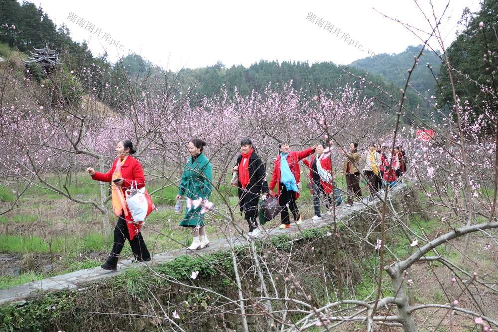 桃花节
古侗寨
乡村风情