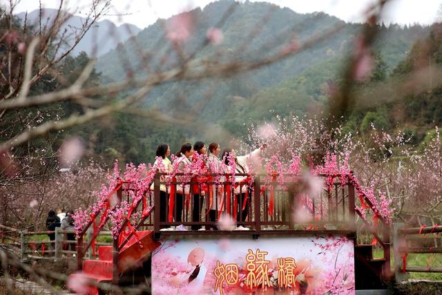 春天、桃花、乡村、旅游、游客