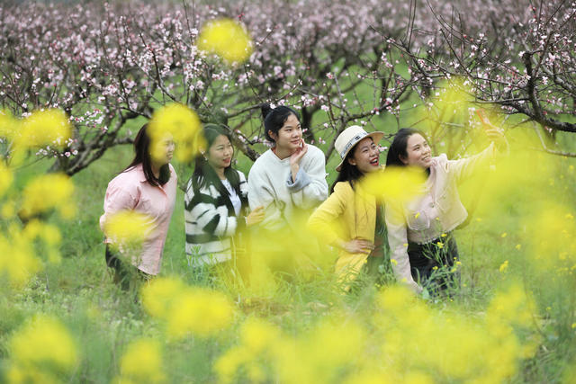 桃花 赏花