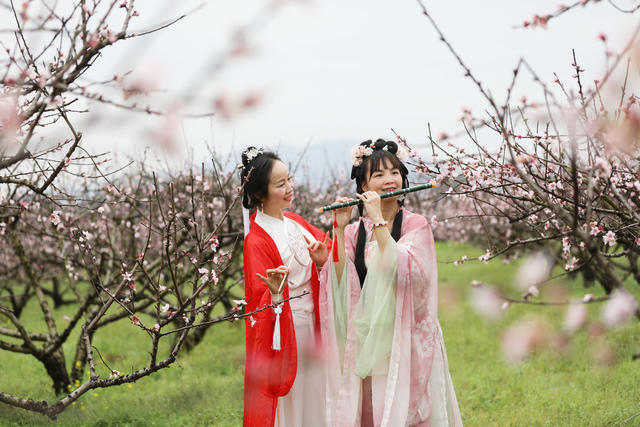 桃花 赏花