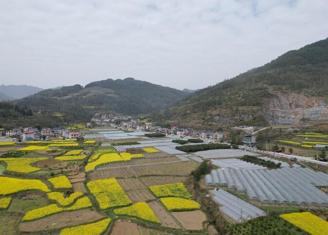     产业兴    山村美