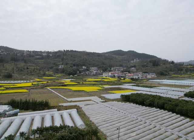     产业兴    山村美