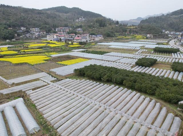     产业兴    山村美