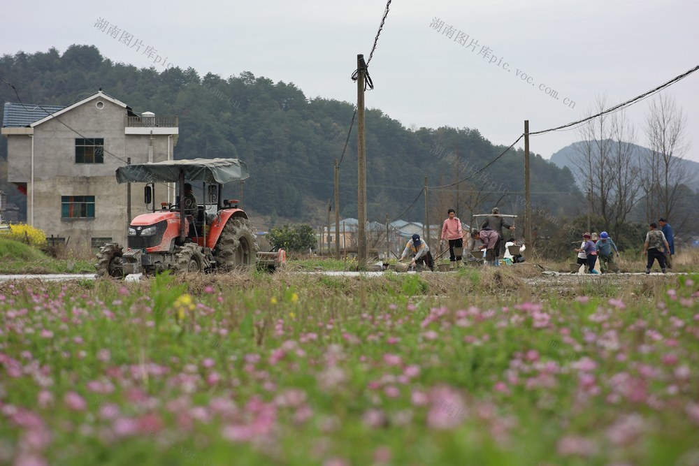  村民    春耕 粮食 土地 春