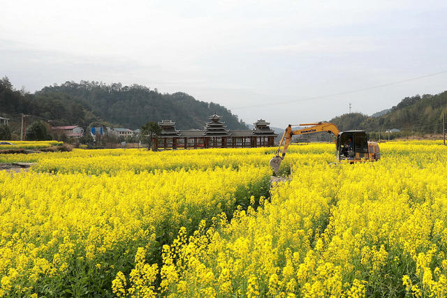 农村 改善 基础 设施 花海 经济 促进 旅游 发展
