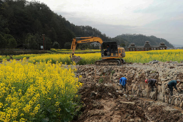 农村 改善 基础 设施 花海 经济 促进 旅游 发展
