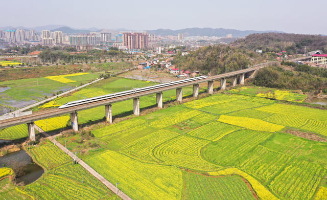 动车  列车  高铁  油菜花  田野  风景  旅游  自然 