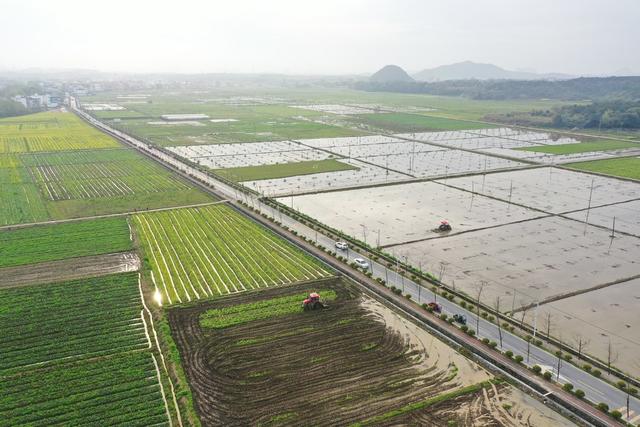 春耕  农事  翻田 耕地  除草 农业生产