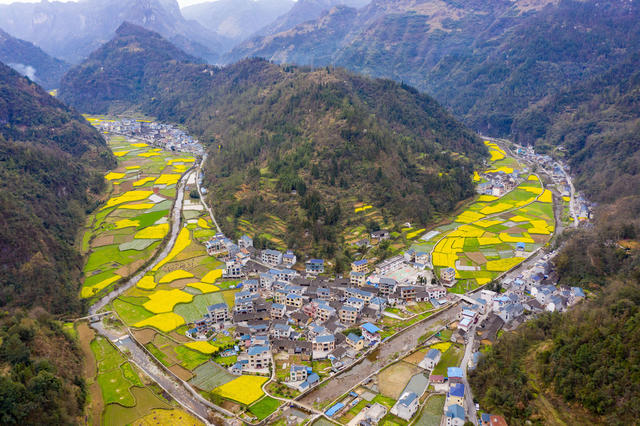 乡村  田园  油菜  湘西  吉首  农事 