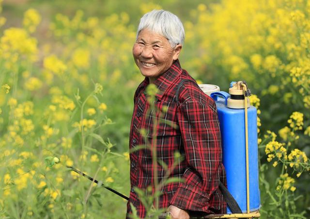 湖南  常宁  田间  劳作