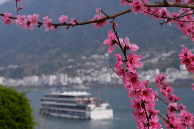 宜昌，花开三峡，景如画