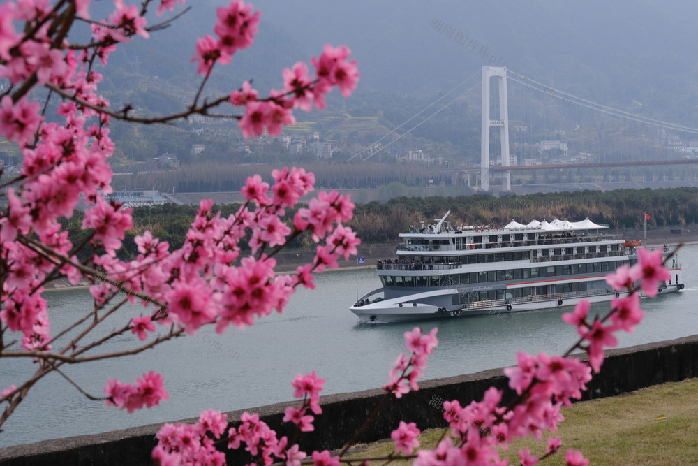 宜昌，花开三峡，景如画