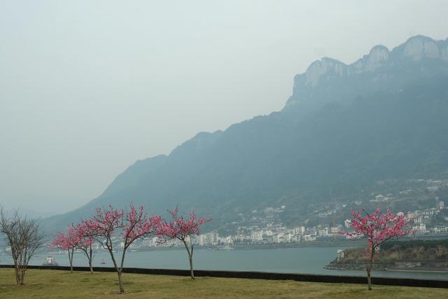 宜昌，花开三峡，景如画