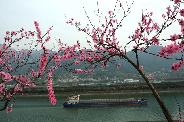 宜昌，花开三峡，景如画