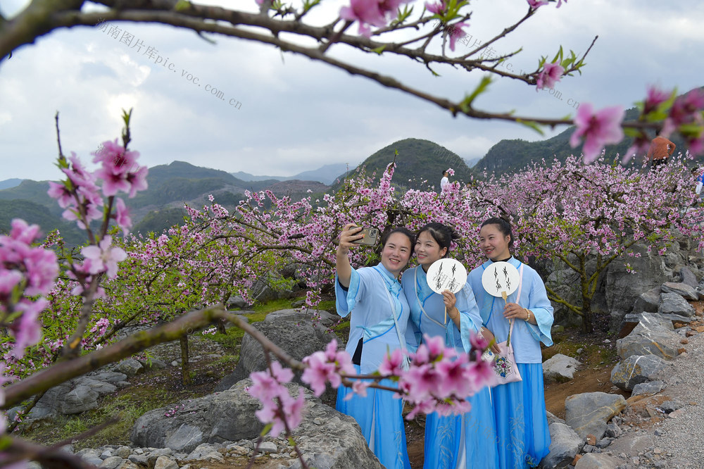 江永县、桃花节、旅游