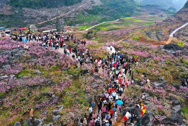 江永县、桃花节、旅游