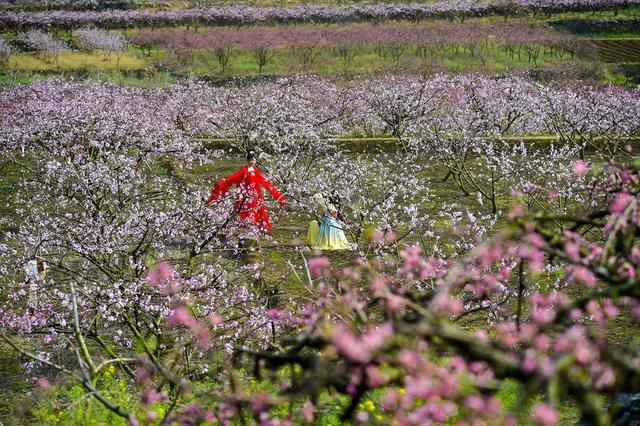 江永县、桃花节、旅游