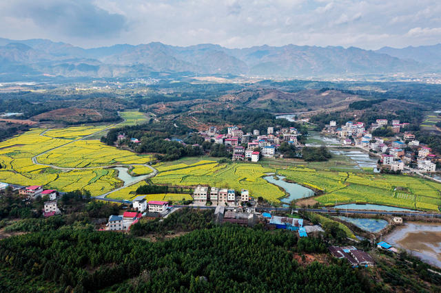 美丽乡村