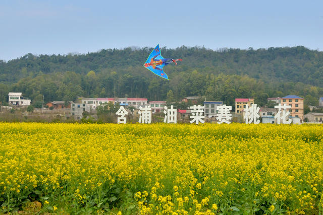 花海