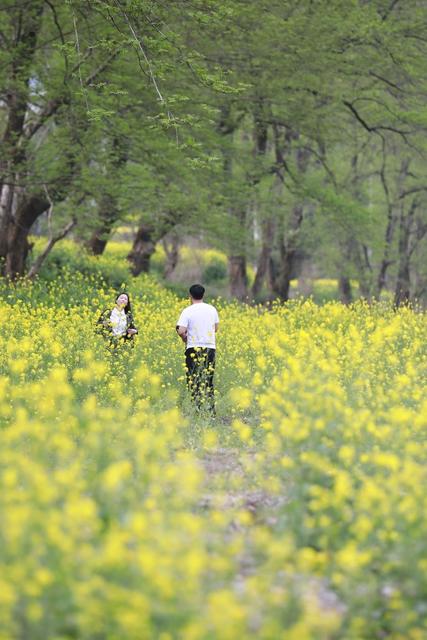 春光 土家族 湖南 湘西 苗族 人们 踏春 拍照 春分 赏花