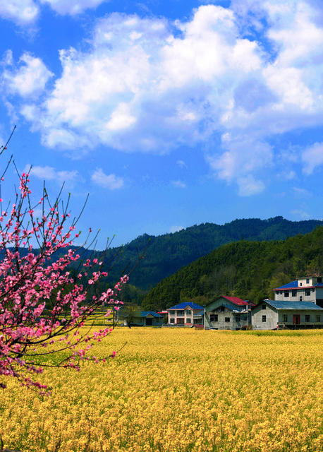  美丽乡村一片景色