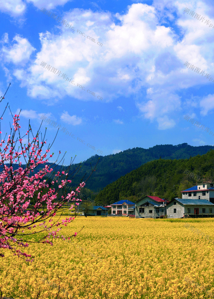  美丽乡村一片景色