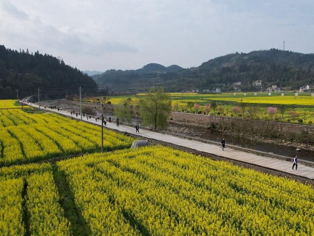  奔跑田园     尽享春光