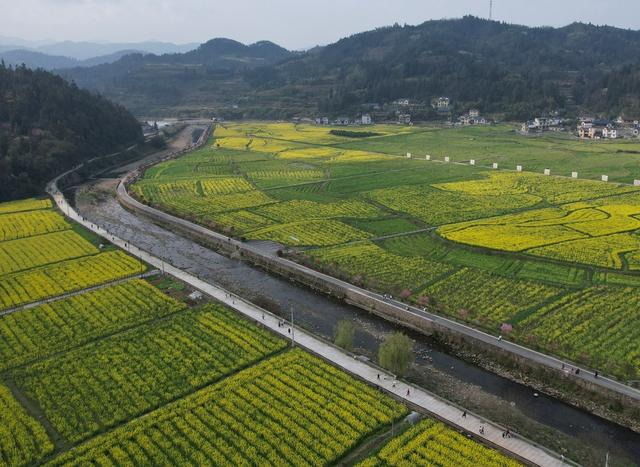  奔跑田园     尽享春光
