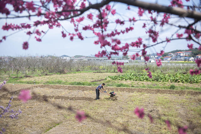 湖南娄底 花香 春耕 春管 农事