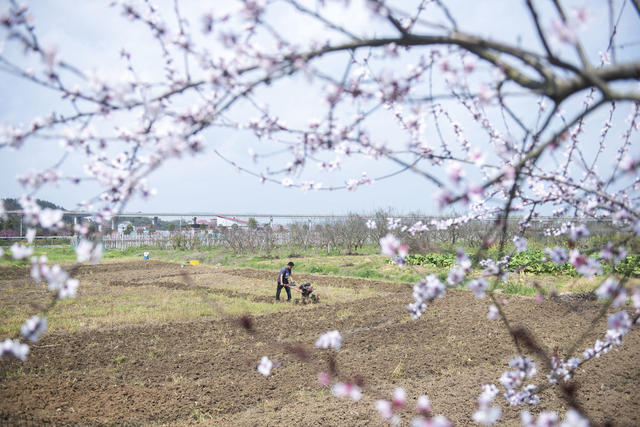 湖南娄底 花香 春耕 春管 农事