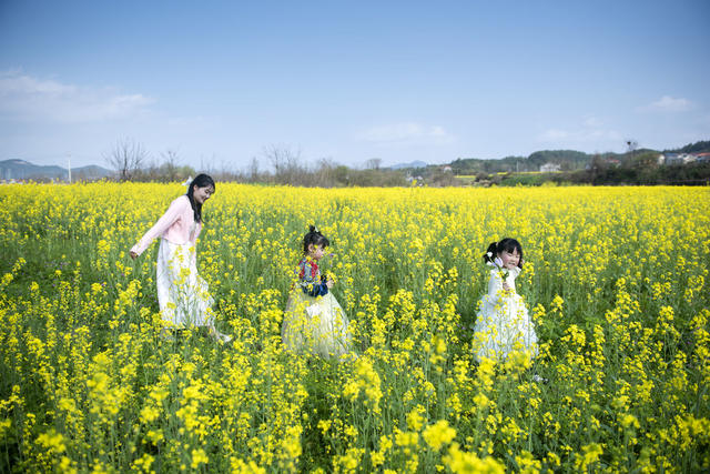 湖南娄底 乐享春光 春天 花香 人与自然