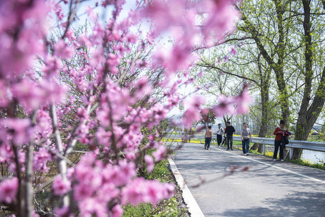 湖南娄底 乐享春光 春天 花香 人与自然