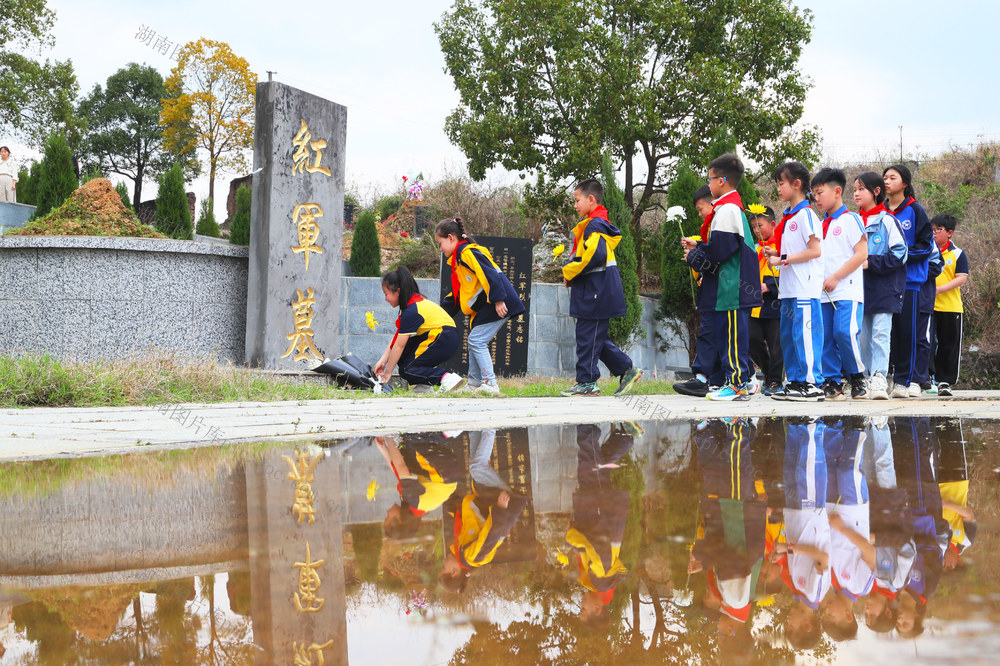 清明  祭英烈  缅怀