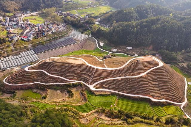 旅游、茶叶基地、农旅融合、产业、乡村