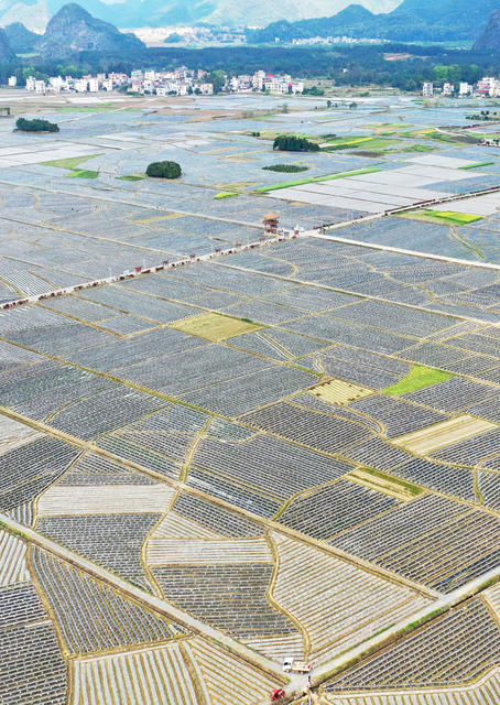 湖南宁远   秀美田园春耕图