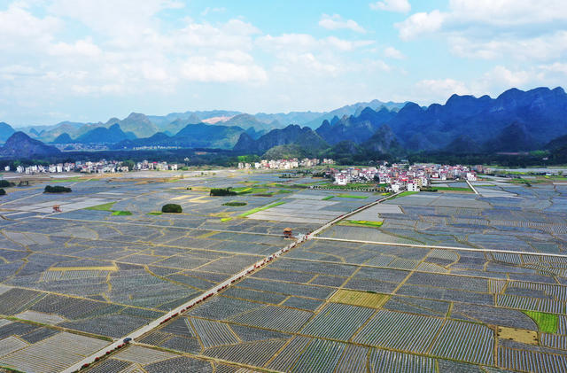 湖南宁远   秀美田园春耕图