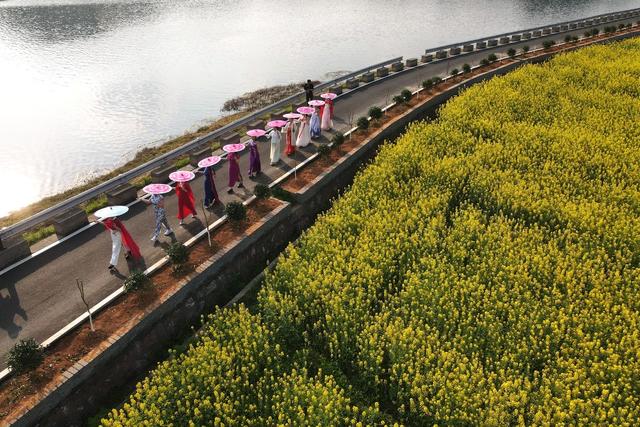 桃花  油菜花  农业  产业  旅游  黄桃  乡村振兴