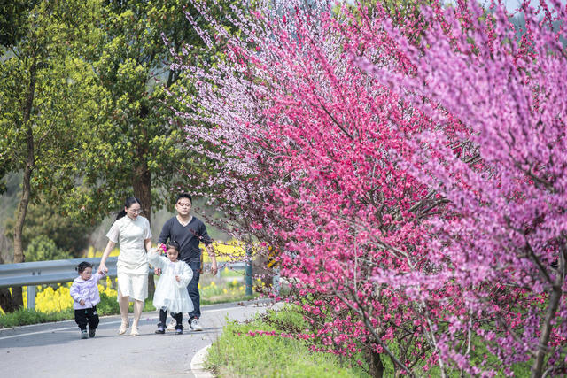 湖南娄底 踏青 赏花 乐享 春光 春分