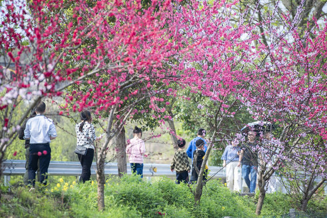 湖南娄底 踏青 赏花 乐享 春光 春分