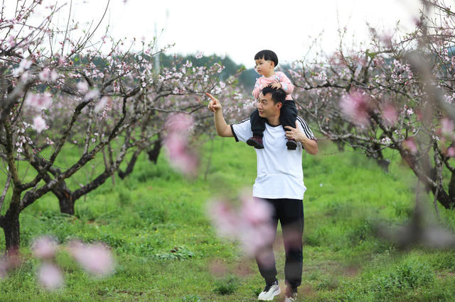 春季 赏花