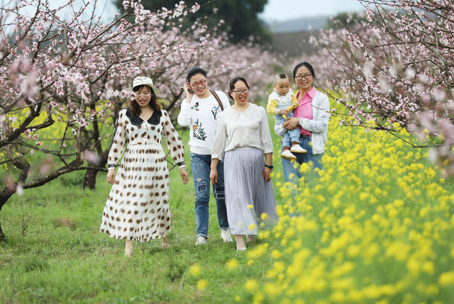 春季 赏花
