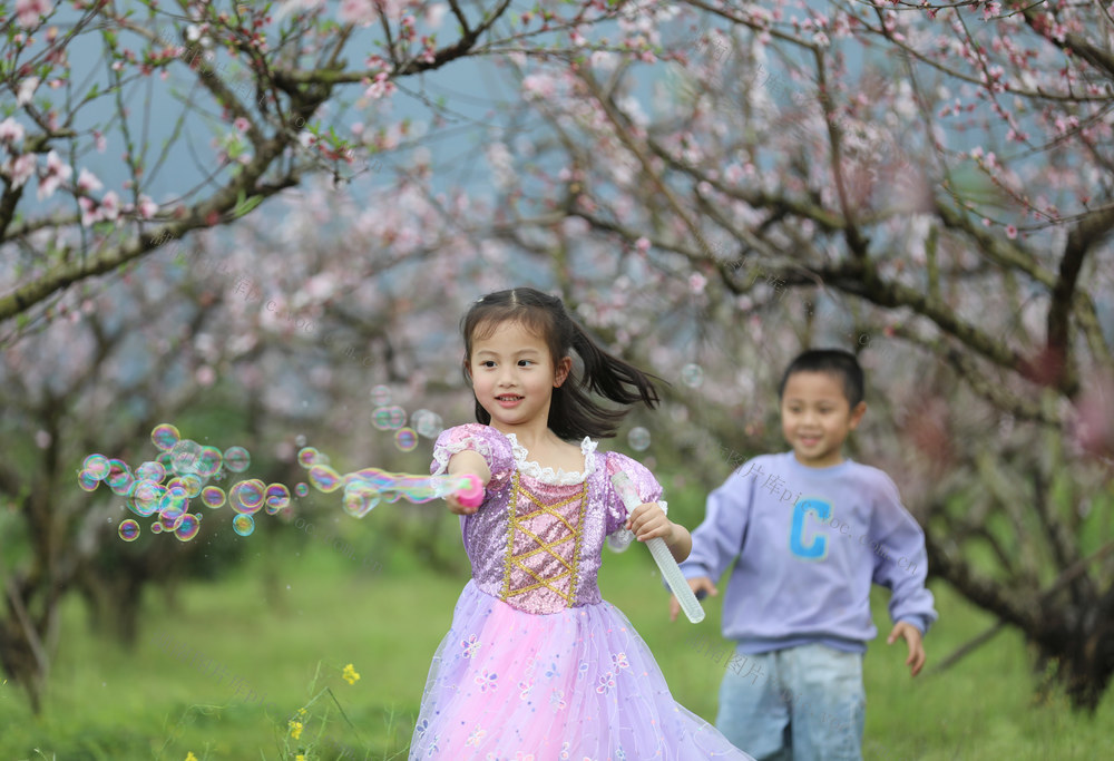 春季 赏花