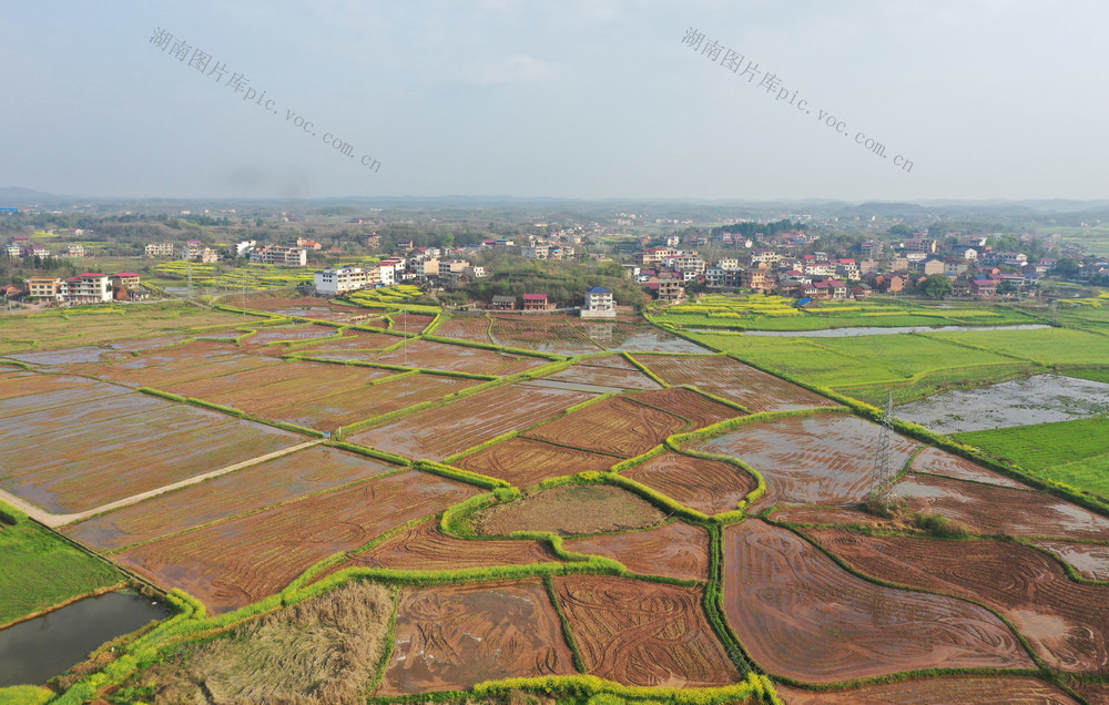 春意浓  乡村  田园  画卷  春耕  水田  自然  风光  风景