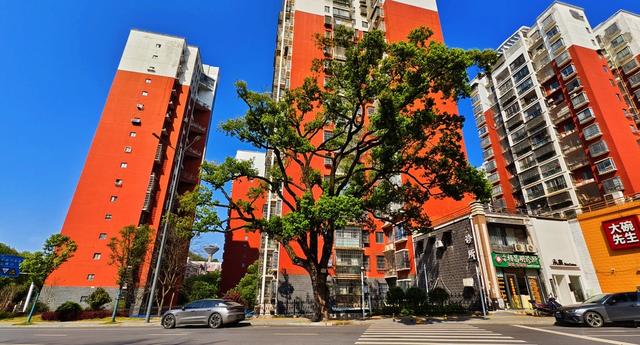 樟树，保佑田心社区和电力机车幸福吉祥，健康稳定。