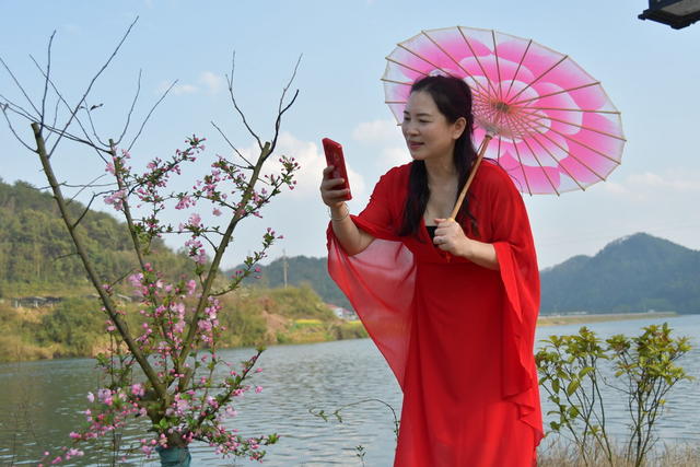 双峰 杏子铺镇 踏春